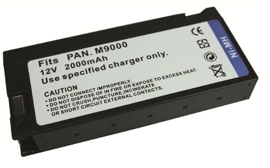 Panasonic AG196 battery