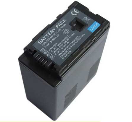 Panasonic VW-VBG6 battery